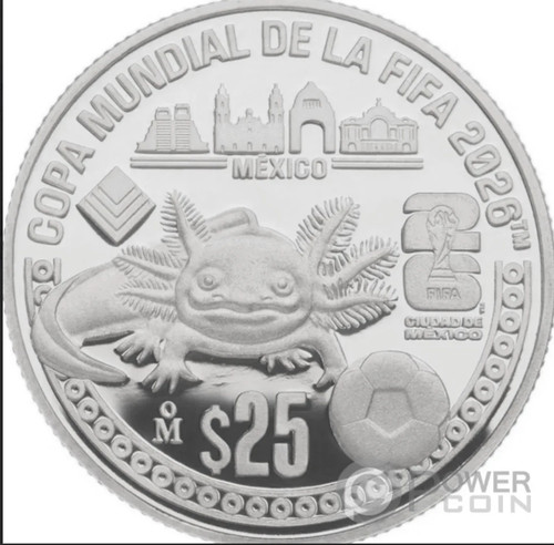 Fifa world cup axolotl - cup,